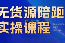 青铜《无货源陪跑实操课程2期》