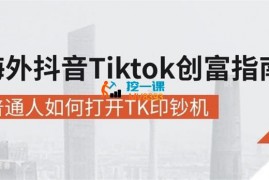 杨左使《海外抖音Tiktok创富指南》