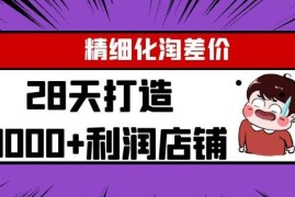 淘宝精细化淘差价28天打造10000+利润店铺