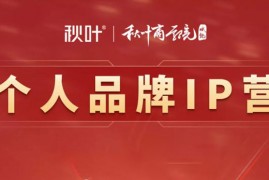 秋叶《个人品牌IP营》