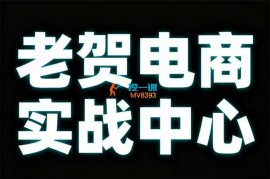 老贺电商《2025年拼多多付费课程》