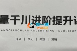 千川扫地僧《巨量千川进阶提升课》