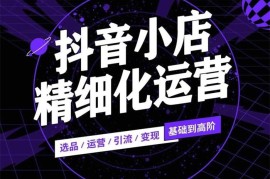 麻可《抖店无货源项目》