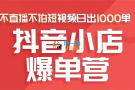 推易《抖店商品卡起店实操班新版》