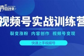 张萌《视频号实战训练营》