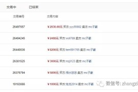 实战打造月入万元的流量站的项目