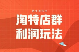 众筹：淘特店群500元赚10万利润玩法