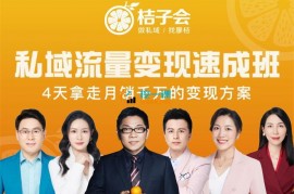 桔子会《私域流量变现速成班》