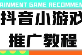 皓华《抖音小游戏推广教程》