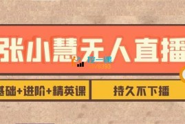 张小慧《无人直播精英课》