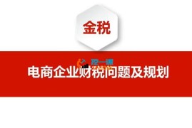 金税《电商企业财税问题及规划》