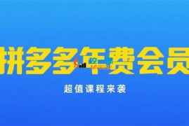 纪主任《拼多多年费会员课程》