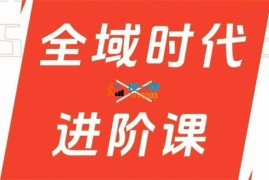 二占《全域时代进阶课》