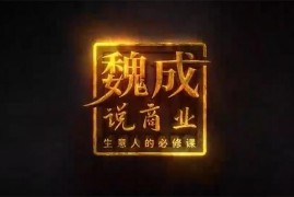 魏成说商业《创业布局3.0》