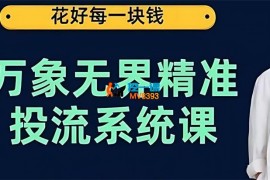 大王真《万象无界精准投流系统课》