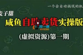 麦子甜《咸鱼自助卖货实操版第一期》