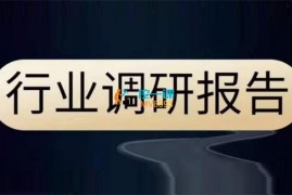 参哥《行业调研报告精选内容》