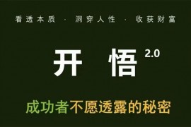 子非鱼《开悟2.0》