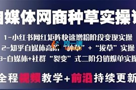 jackey《种草电商内容变现系列课》