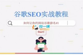 雪梨《谷歌google独立站SEO从入门到高手》