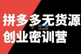 星越《拼多多无货源直播带货创业密训营》