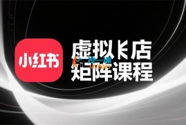 蜂哥《小红书虚拟店矩阵》
