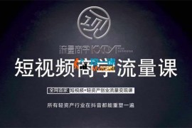 刘先生《短视频商学流量课》