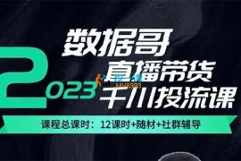 数据哥《2023直播带货千川投流课》