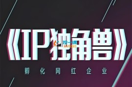 陈老师《IP独角兽》