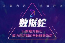 数据蛇《淘宝2021最新三大补单玩法》