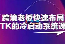 随新索创《跨境老板快速布局TK的冷启动系统课》