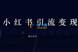 王校长《小红书引流变现》