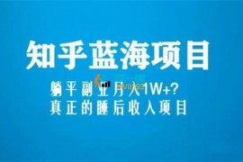 辣条哥《知乎蓝海玩法副业项目》