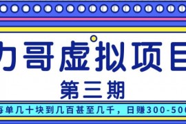 力哥实操闲鱼内训虚拟项目第三期