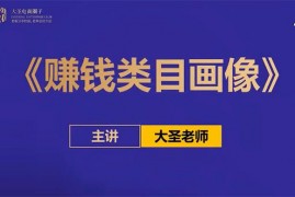 大圣《赚钱类目画像方法论》