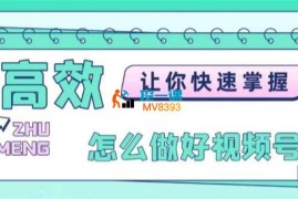 大阳《如何做好视频号》