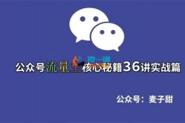 麦子甜《公众号流量主核心秘籍36讲实战篇》