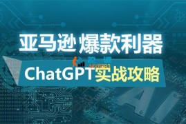 Regan《亚马逊爆款利器:ChatGPT实战攻略》