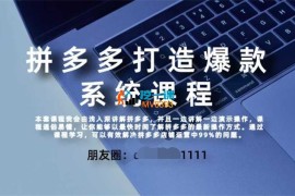 大海电商说《拼多多高阶打造爆款全套课程》