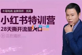 牛哥电商《小红书特训营》