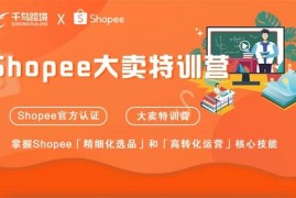 千鸟跨境《Shopee大卖特训营》