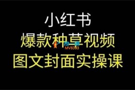 小红书爆款种草视频图文封面实操课