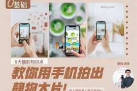 长颈鹿家《手机静物美食系统课》