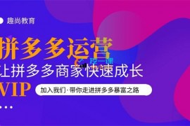 趣尚教育《拼多多运营实操VIP特训营》