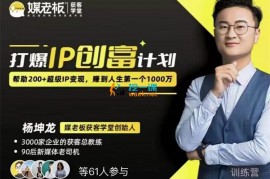 杨坤龙《打爆IP创富计划7天线上课》