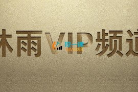 林雨《VIP频道》