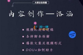 洛涵《全案视频内容创作课》