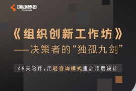 众筹：《组织创新工作坊》决策者的“独孤九剑”