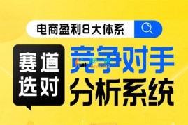 大圣《赛道选对竞争对手分析系统》