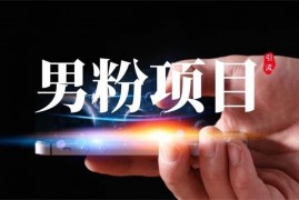 道哥说创业《男粉自动成交4.0》